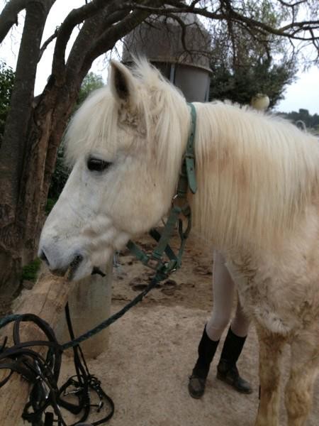 Photo de profil de lune.jougaire