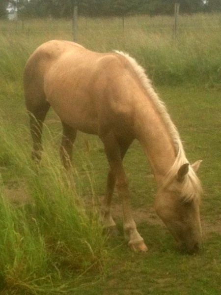 Photo de profil de jypsie