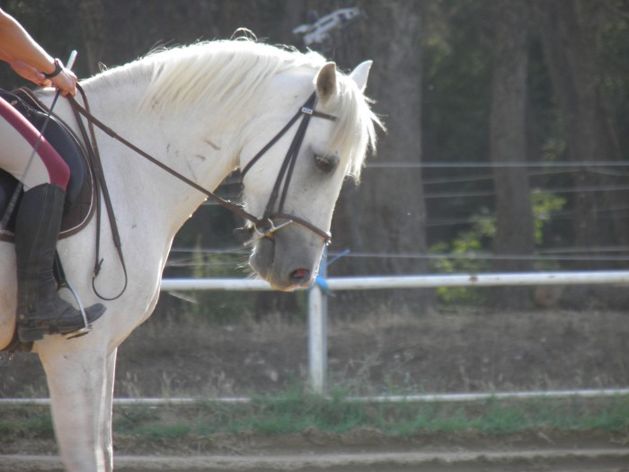 Photo de profil de newday12