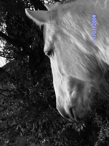 Photo de profil de sandie30