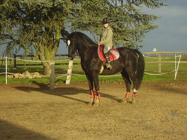 Photo de profil de louise.renaud