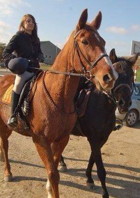 Photo de profil de saynli