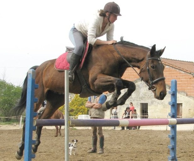 Photo de profil de lirrevocable