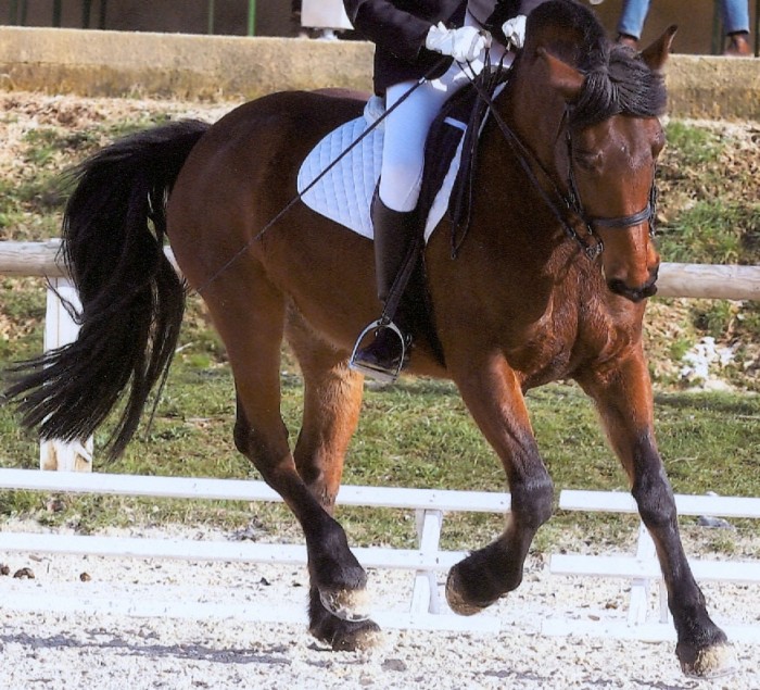 Photo de profil de kafca