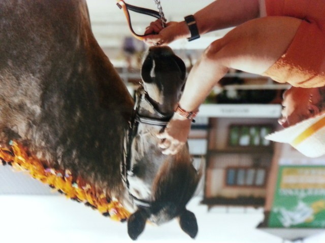 Photo de profil de lagazette