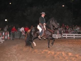 Photo de profil de zico