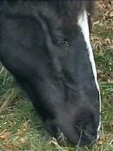 Photo de profil de cheyenne74