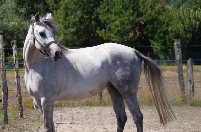 Photo de profil de hellebautjuliet