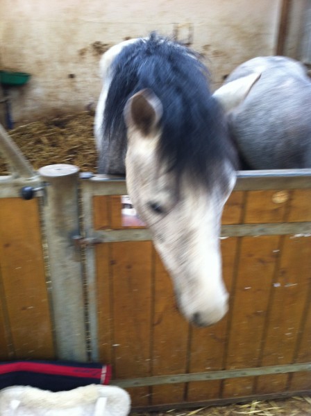 Photo de profil de vikiepgcso