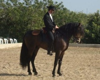 Photo de profil de clubsantamaria