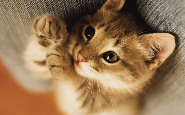 Photo de profil de maeva78130