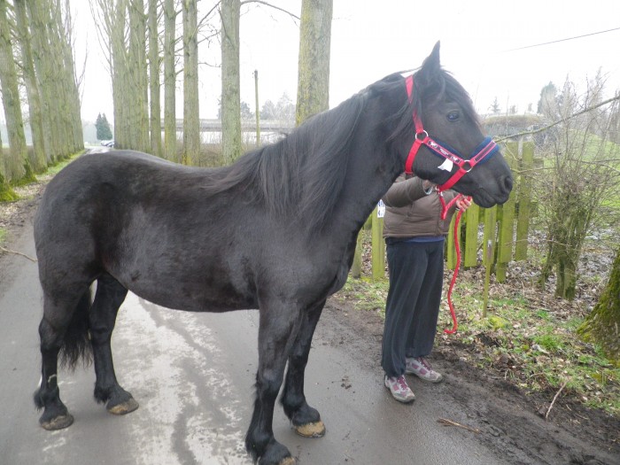 Photo de profil de montaine59