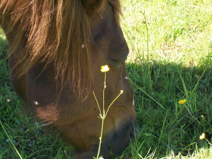 Photo de profil de lucifer22