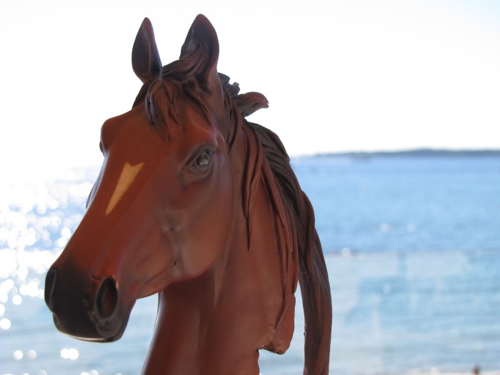 Photo de profil de chachoumonbb