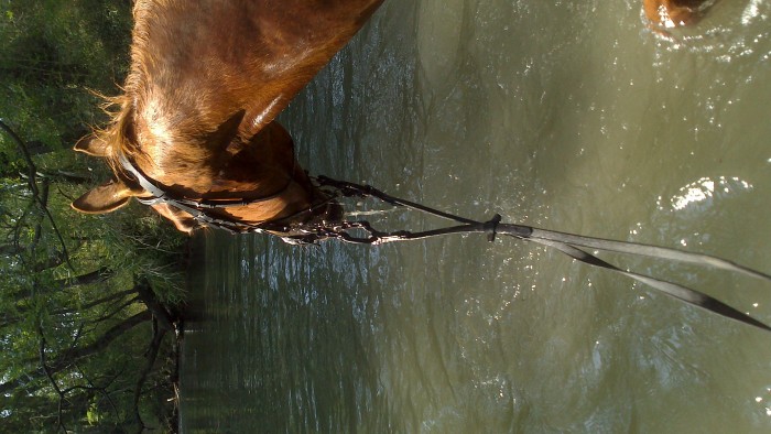 Photo de profil de marjorie1503