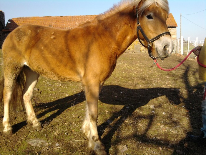 Photo de profil de aebh