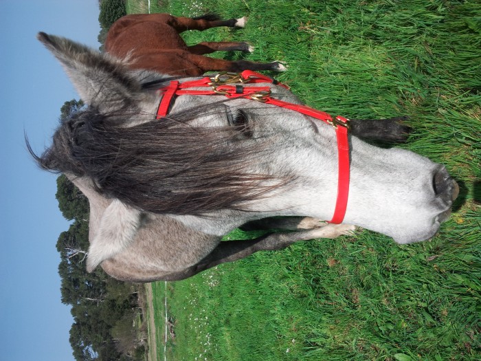 Photo de profil de rejanet