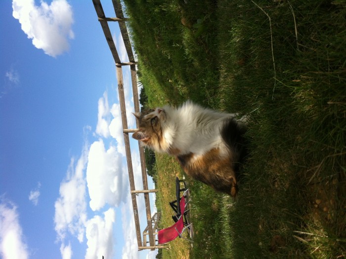 Photo de profil de estellvancouver