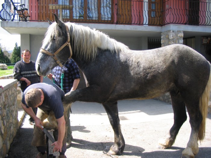 Photo de profil de terredhermes