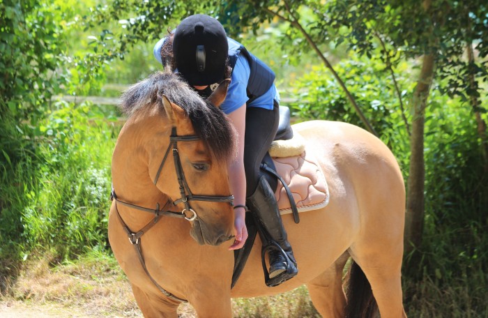 Photo de profil de 6tron