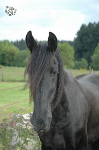 Photo de profil de camilloudieppe