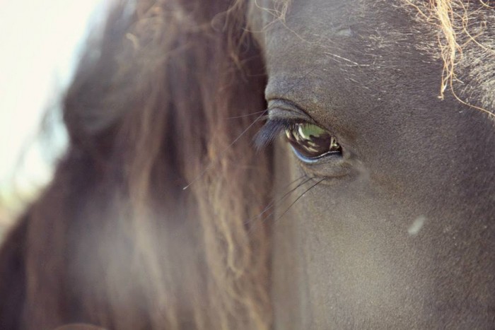 Photo de profil de thaais