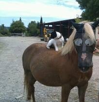 Photo de profil de juetor