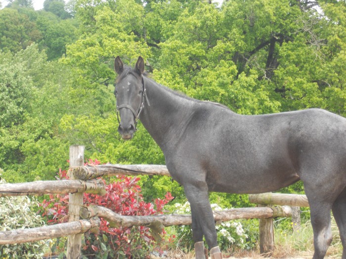 Photo de profil de titof53