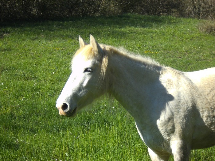 Photo de profil de caroisere