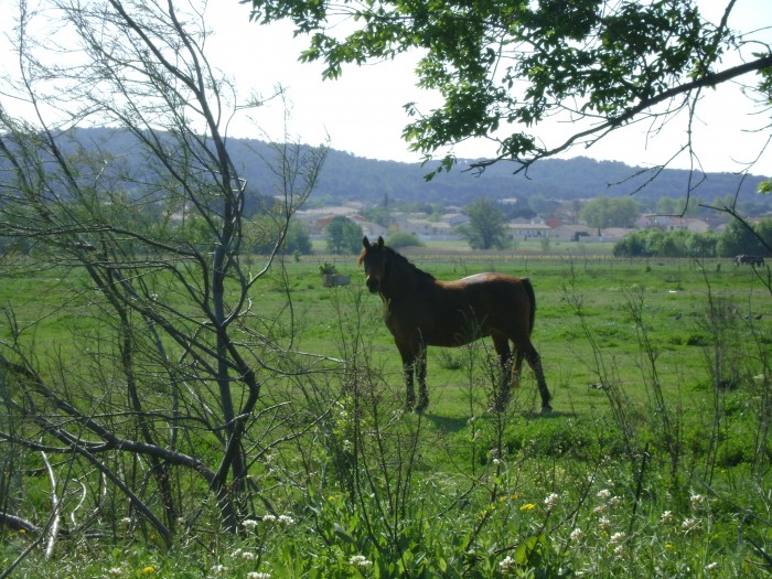 Photo de profil de jorak