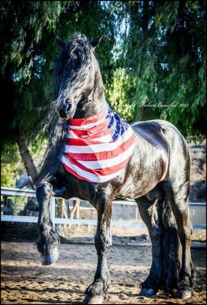 Photo de profil de nivada