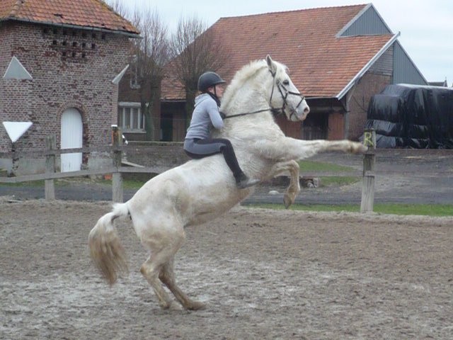 Photo de profil de goulipette18