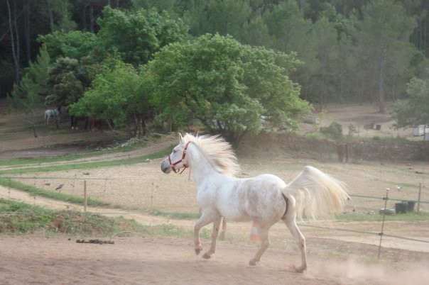 Photo de profil de sevi13