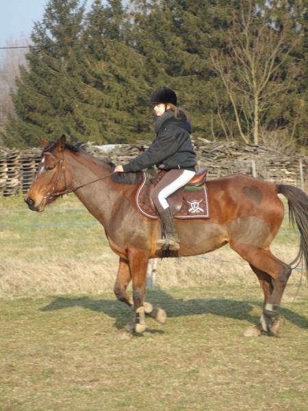 Photo de profil de typhaine86