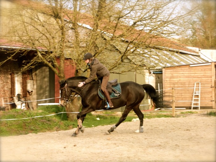 Photo de profil de adelinemvs