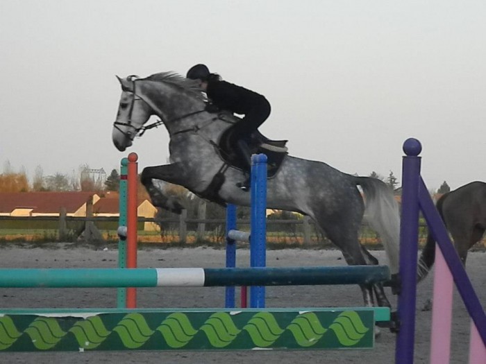 Photo de profil de loulouw