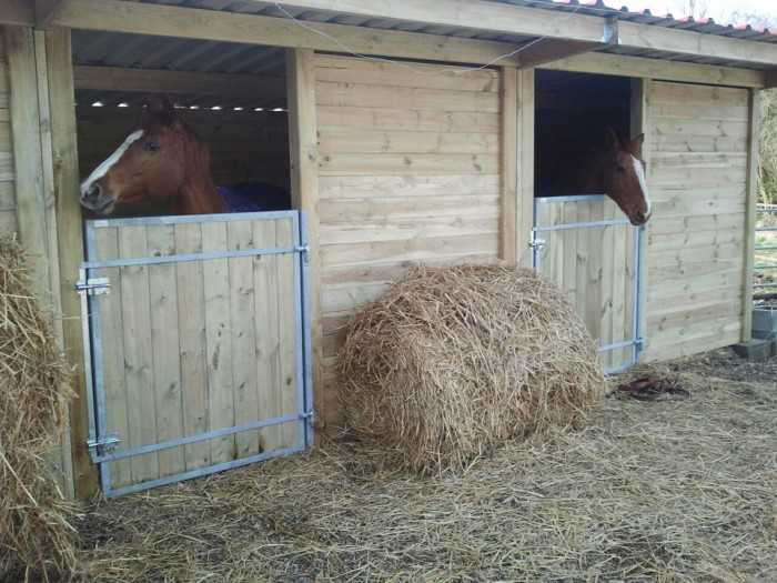 Photo de profil de sophiemini