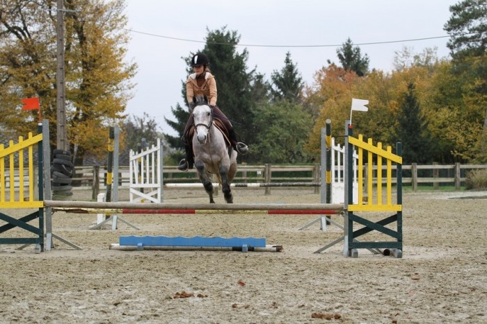 Photo de profil de pino60