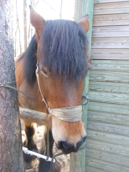 Photo de profil de kifflou