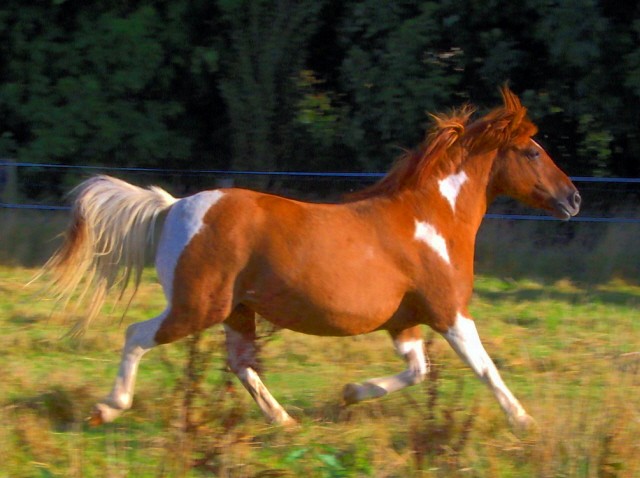 Photo de profil de cricri62