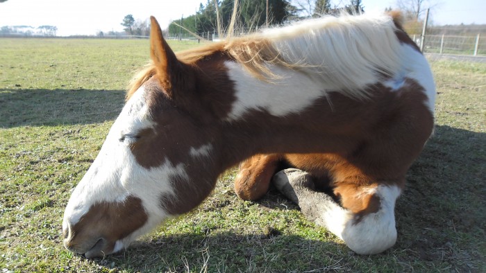 Photo de profil de znours