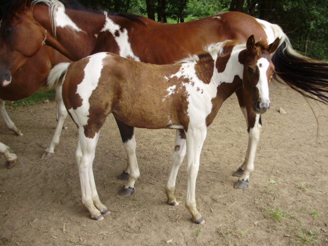 Photo de profil de quine09