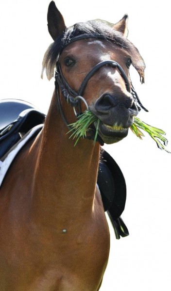 Photo de profil de loulou75