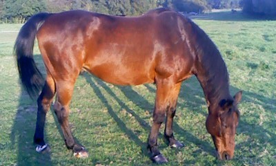 Photo de profil de iteke