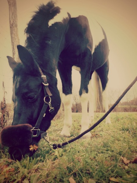 Photo de profil de saaro1425