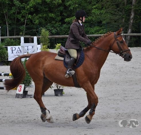 Photo de profil de charlottekik