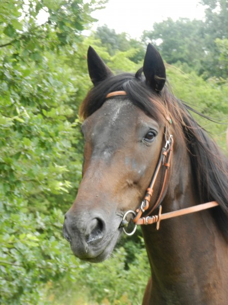 Photo de profil de ludi33200
