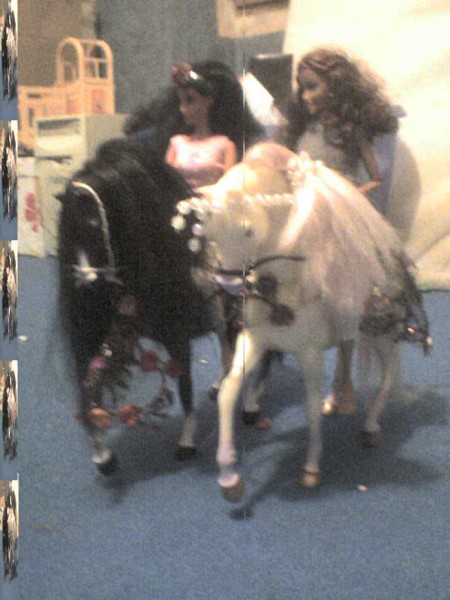 Photo de profil de horsediamond