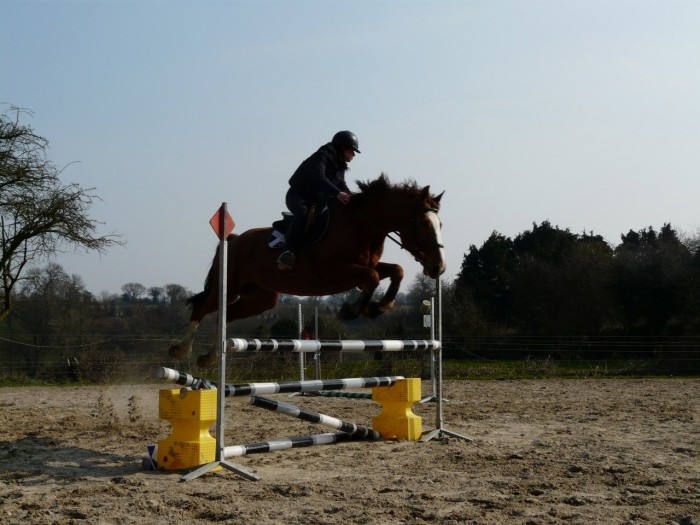 Photo de profil de chevauxpassion1