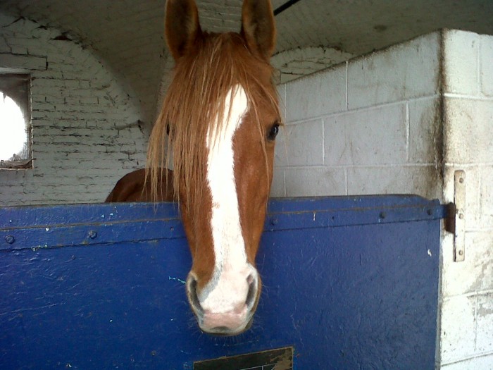 Photo de profil de alice222